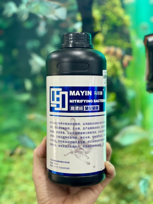 Vi sinh làm trong nước, khử tanh hôi Mayin Nitrifying Bacteria 900ml