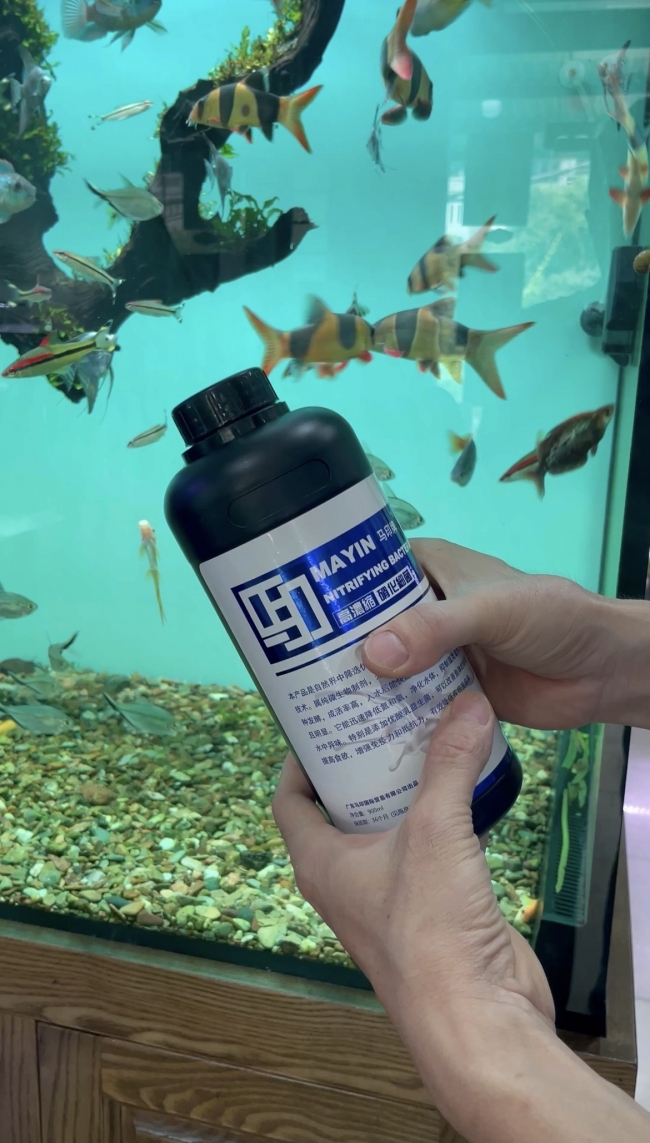 Vi sinh làm trong nước, khử tanh hôi Mayin Nitrifying Bacteria 900ml