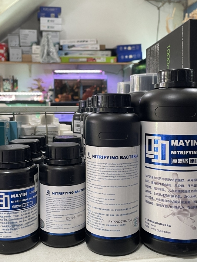 Vi sinh làm trong nước, khử tanh hôi Mayin Nitrifying Bacteria 900ml