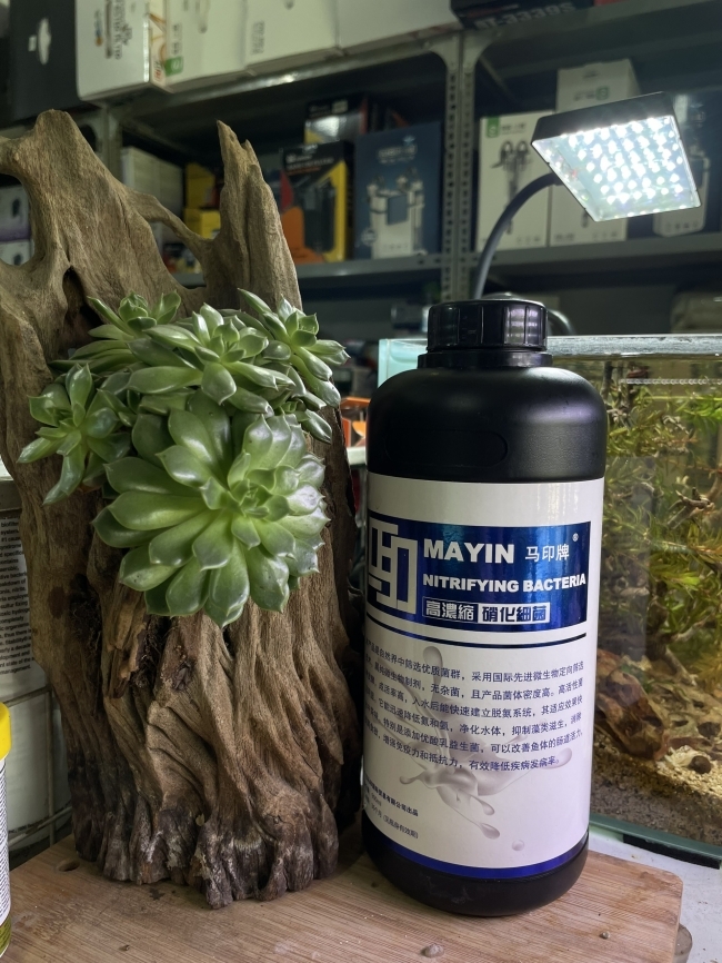 Vi sinh làm trong nước, khử tanh hôi Mayin Nitrifying Bacteria 900ml