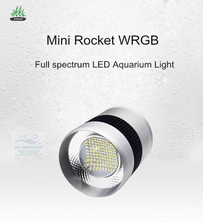 Đèn Week Rocket WRGB T30