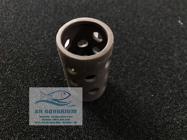 Đồ chơi cá tép hình trụ và Bán trụ