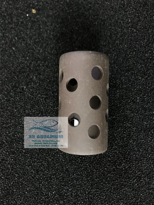 Đồ chơi cá tép hình trụ và Bán trụ