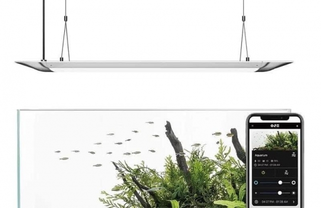 Đèn Led Cao cấp Flat One+ 60