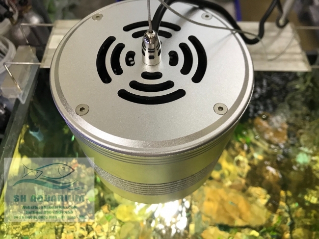 Đèn Led Trứng Bạc 50w LSH50