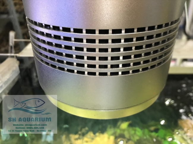 Đèn Led Trứng Bạc 50w LSH50