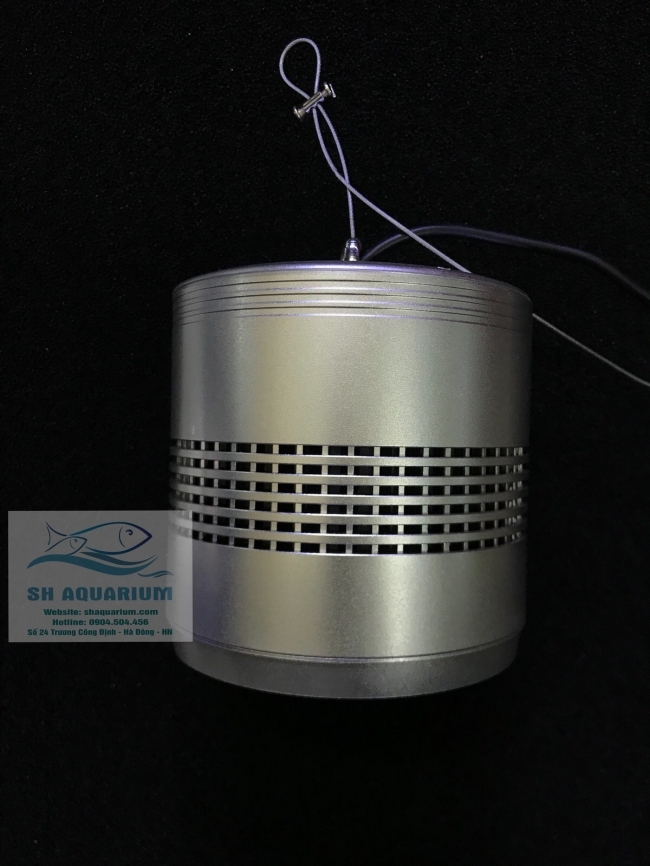 Đèn Led Trứng Bạc 50w LSH50