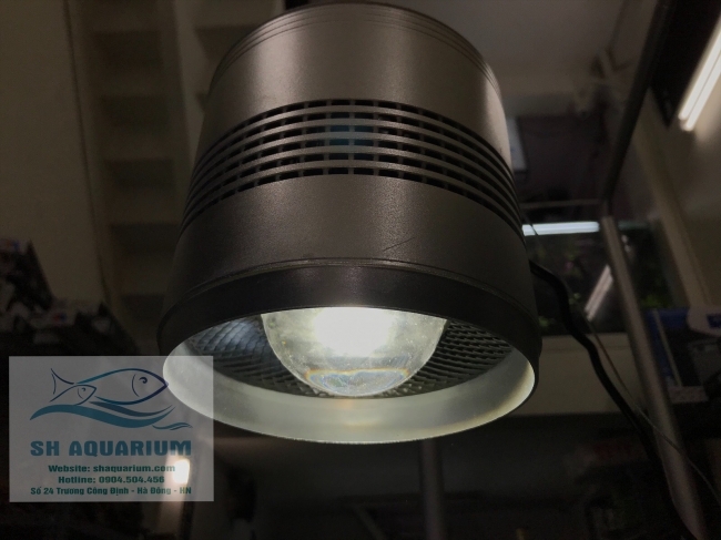 Đèn Led Trứng Bạc 50w LSH50