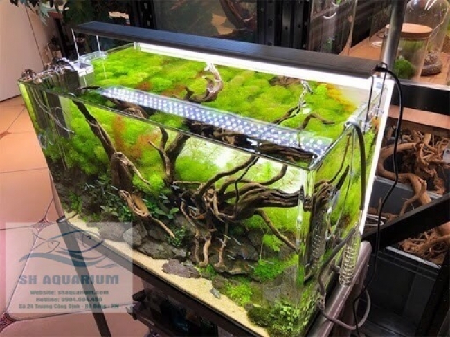ĐÈN LED ODYSSEA SLIM X300