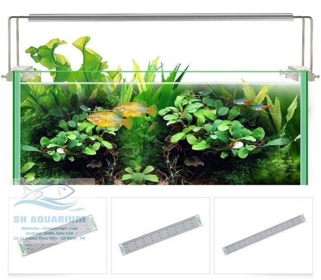 ĐÈN LED ODYSSEA SLIM X300