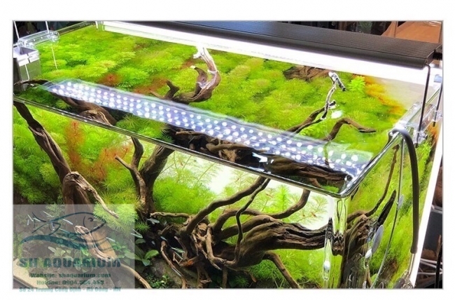 ĐÈN LED ODYSSEA SLIM X300