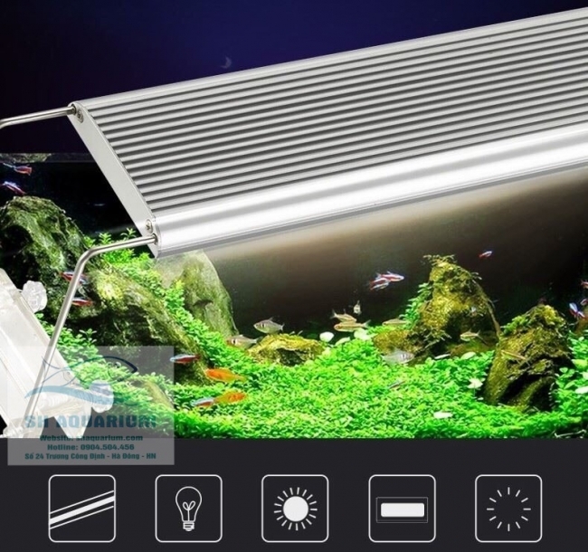 ĐÈN LED ODYSSEA SLIM X300