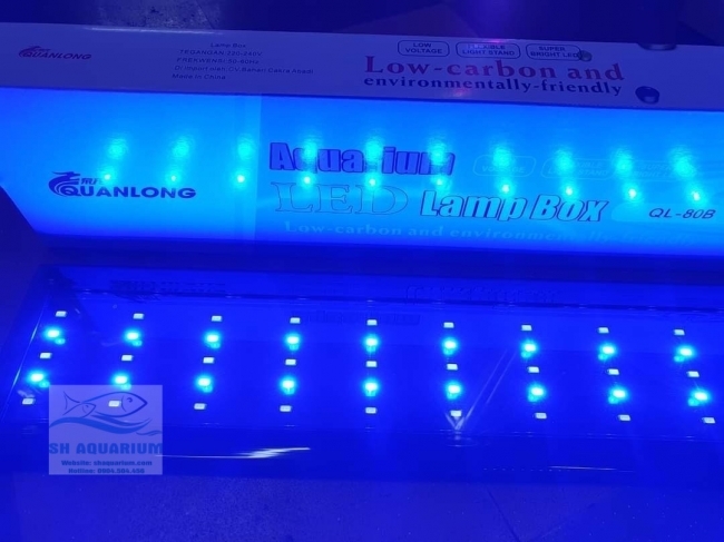 Đèn Led 5 Hàng Quanlong Siêu Sáng Đổi Màu 60cm