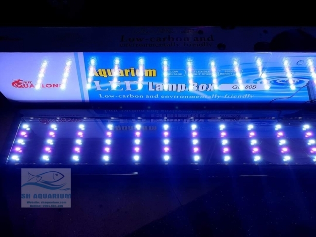 Đèn Led 5 Hàng Quanlong Siêu Sáng Đổi Màu 60cm
