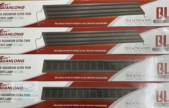 Đèn Led 5 Hàng Quanlong Siêu Sáng Đổi Màu 60cm
