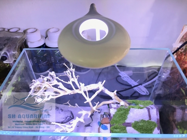 Đèn Led Sobo cho hồ cá, hồ thuỷ sinh