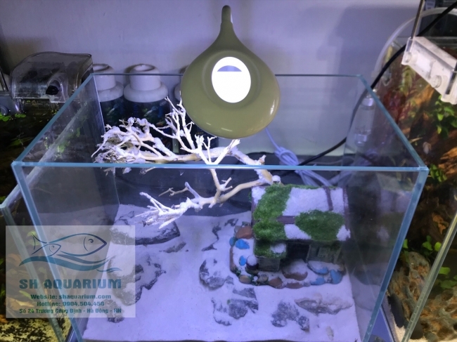 Đèn Led Sobo cho hồ cá, hồ thuỷ sinh