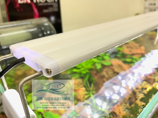 ĐÈN LED MÁNG XML 60/12W