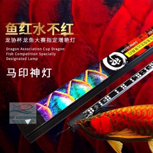 ĐÈN LED CÁ RỒNG MAYIN SUPER COLOUR PLUS 2 CHẾ ĐỘ CHUYÊN DỤNG CHO BỐI 172CM