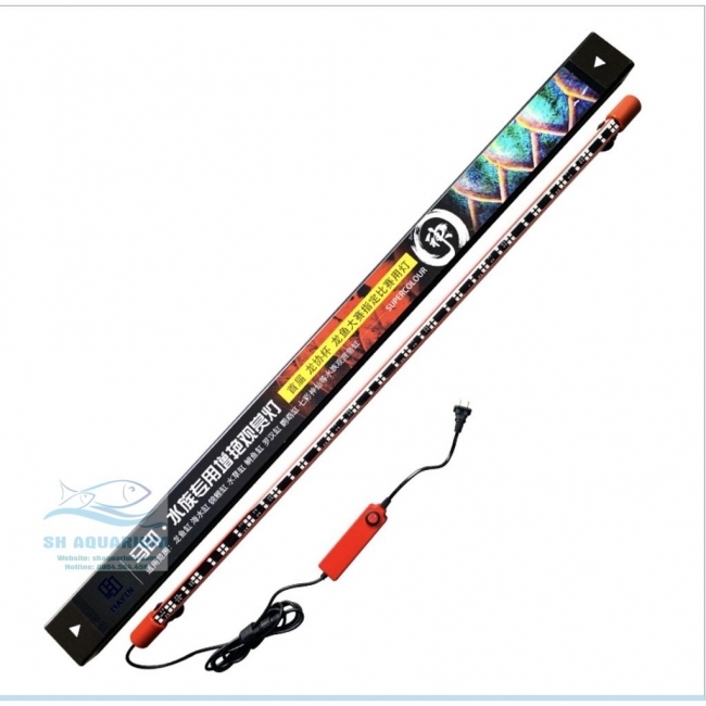 ĐÈN LED CÁ RỒNG MAYIN SUPER COLOUR PLUS 2 CHẾ ĐỘ CHUYÊN DỤNG CHO BỐI 172CM