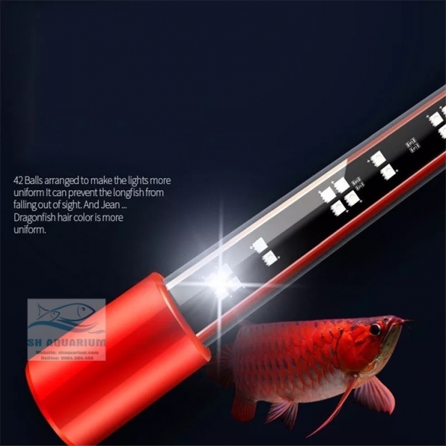 ĐÈN LED CÁ RỒNG MAYIN SUPER COLOUR CHUYÊN DỤNG CHO HUYẾT LONG 172CM