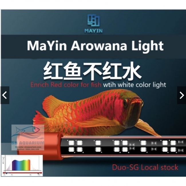 ĐÈN LED CÁ RỒNG MAYIN SUPER COLOUR PLUS 2 CHẾ ĐỘ CHUYÊN DỤNG CHO BỐI 172CM