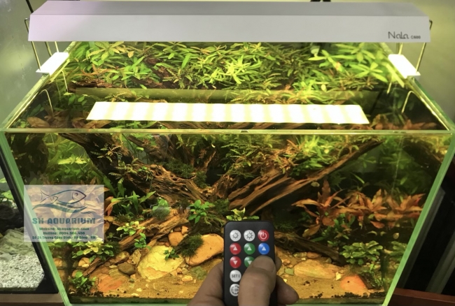 Đèn RGB Nala C600 thế hệ mới