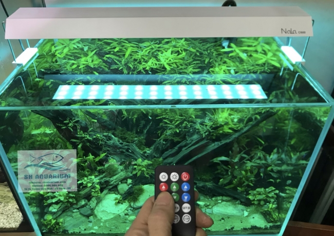 Đèn RGB Nala C600 thế hệ mới