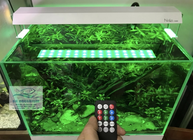 Đèn RGB Nala C600 thế hệ mới
