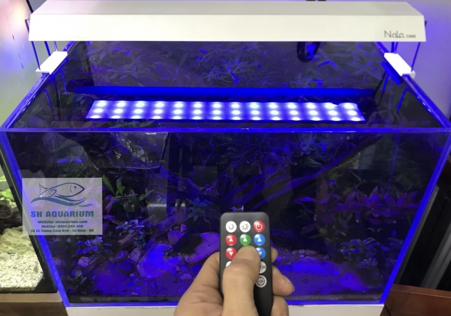 Đèn RGB Nala C600 thế hệ mới
