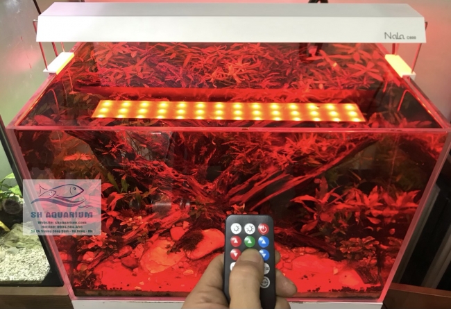 Đèn RGB Nala C600 thế hệ mới