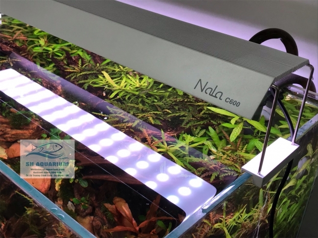 Đèn RGB Nala C600 thế hệ mới