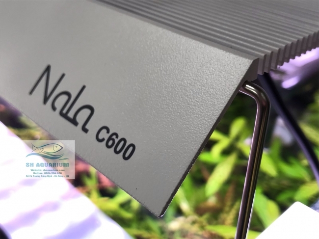 Đèn RGB Nala C600 thế hệ mới