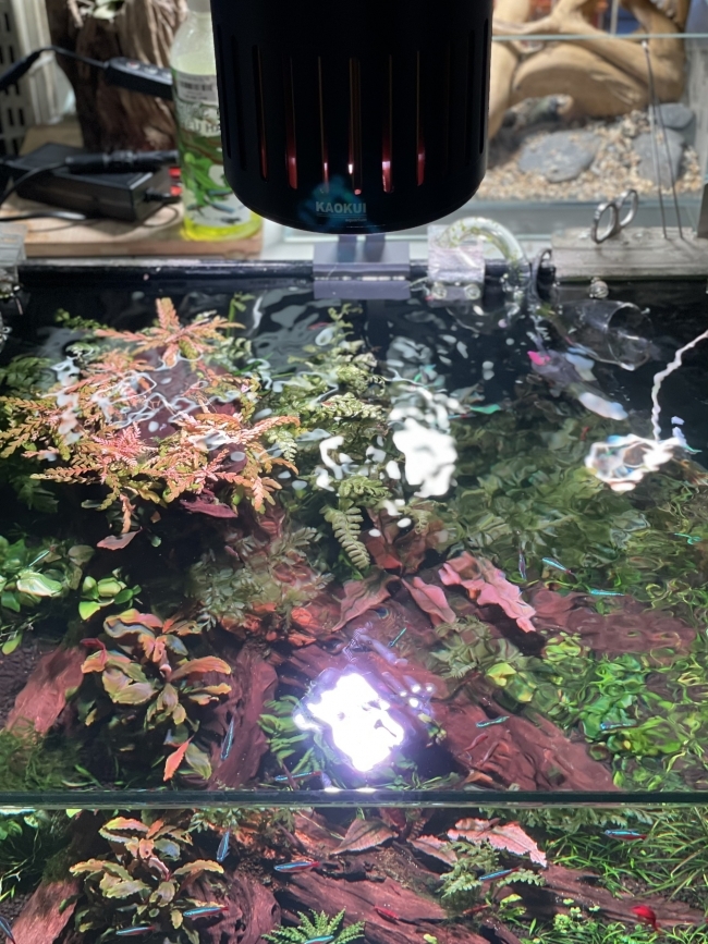 ĐÈN LED RỌI WRGB+UV KAOKUI-F08 90W