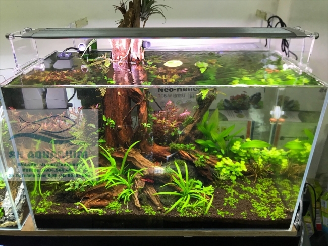 ĐÈN LED WEEK RAPTOR RGB D120CM