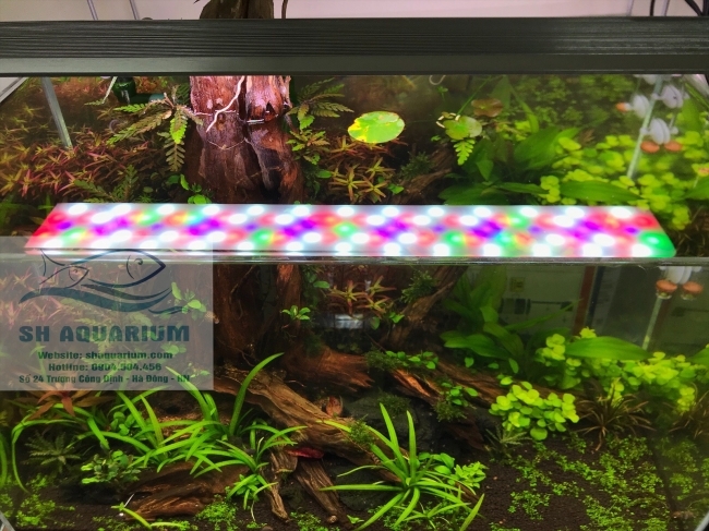 ĐÈN LED WEEK RAPTOR RGB D60CM