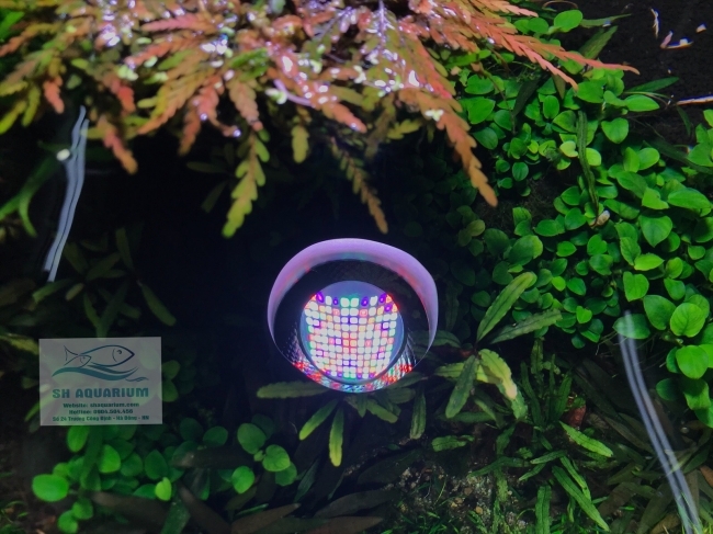 ĐÈN WEEK ROCKET RGB T70 Có Bảng Điều Khiển Màu