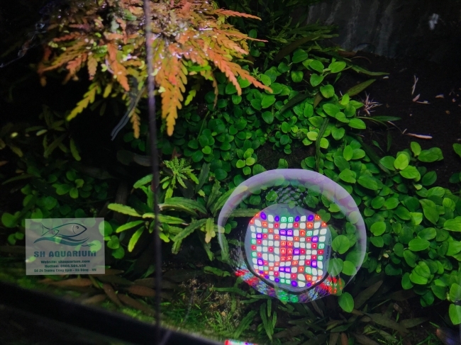 ĐÈN WEEK ROCKET RGB T70 Có Bảng Điều Khiển Màu