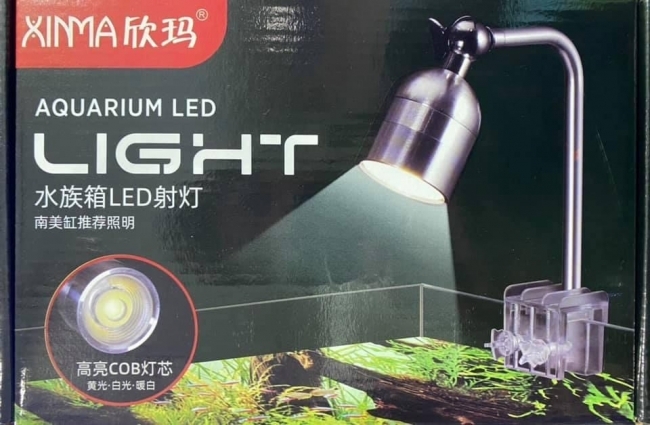 Đèn Xinma 5w 3 chế độ