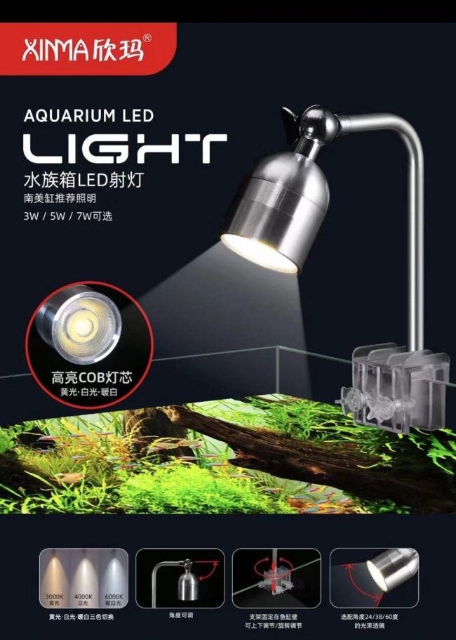 Đèn Xinma 5w 3 chế độ