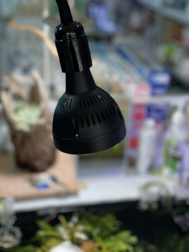 Đèn Led WRGB công suất 45W, có chân cao, dành cho bể thuỷ sinh, bể bán cạn