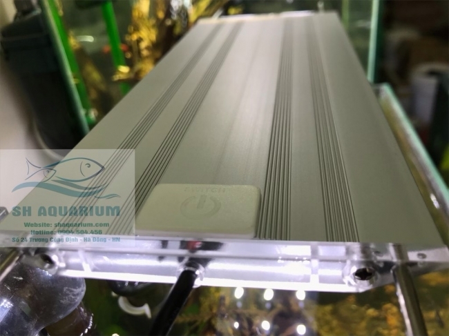 ĐÈN LED TRẮNG MÁNG NHÔM AQUABLUE SIÊU SÁNG 100cm