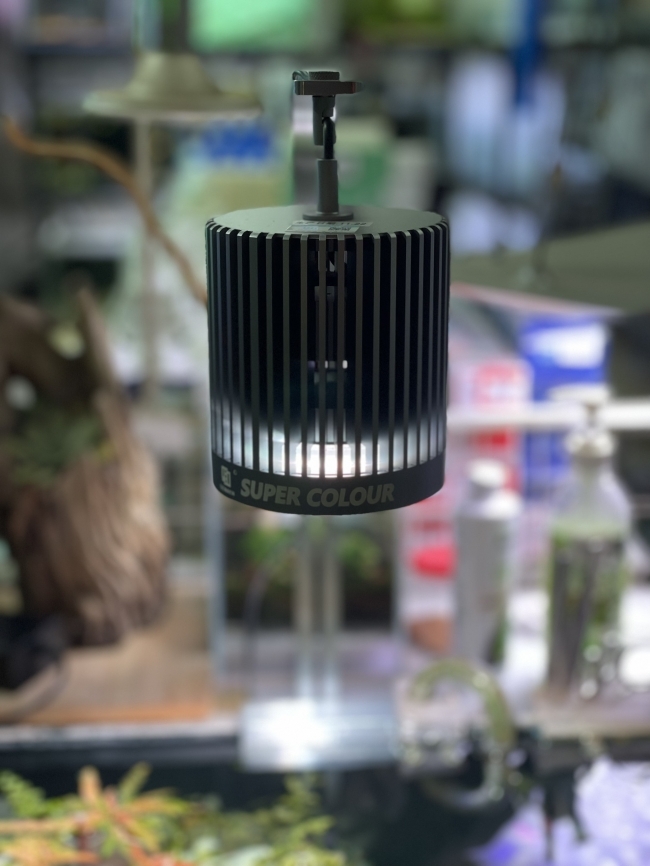 Đèn Led Rọi Mayin SuperColour thế hệ mới nhất 100W