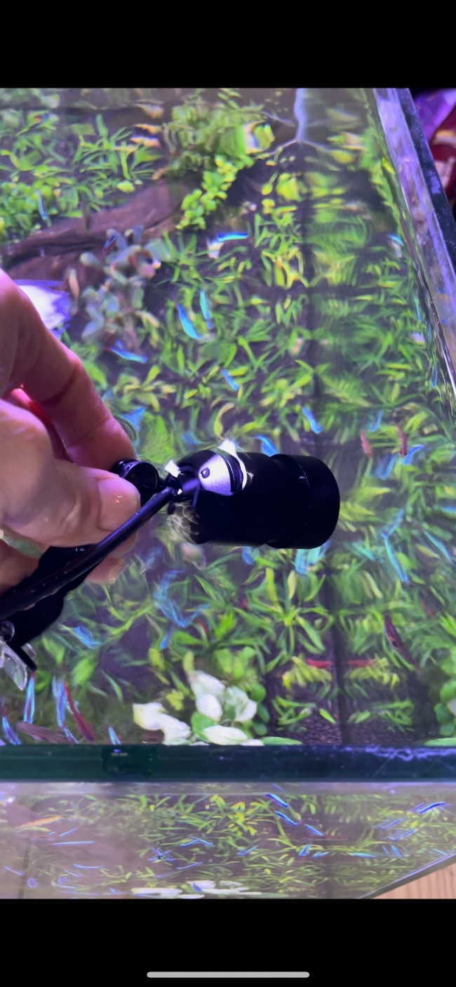 ĐÈN LED RỌI CHIHIROS Z TINY Diving có thể chìm trong nước