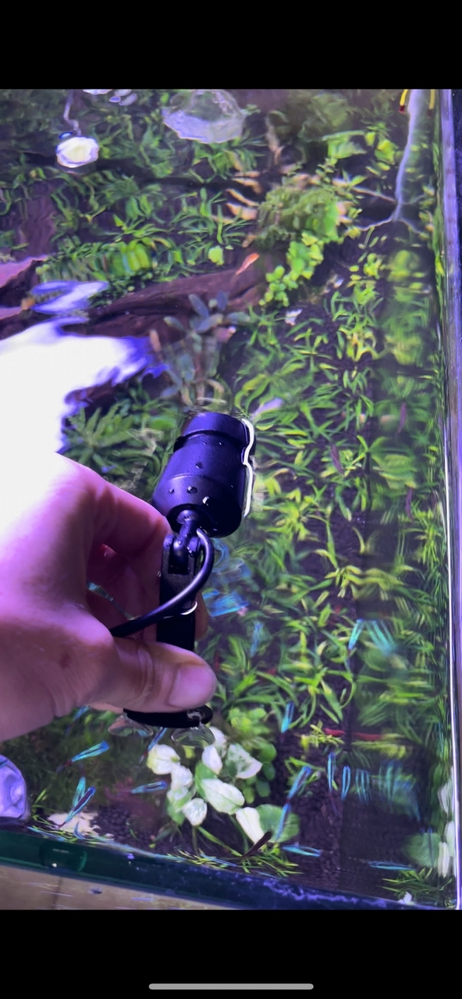 ĐÈN LED RỌI CHIHIROS Z TINY Diving có thể chìm trong nước