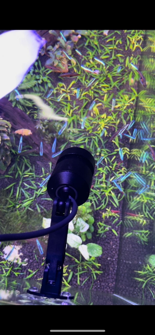 ĐÈN LED RỌI CHIHIROS Z TINY Diving có thể chìm trong nước