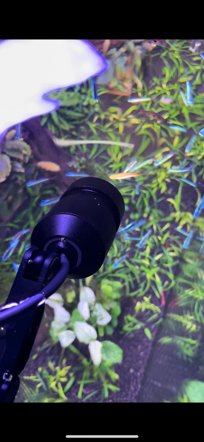 ĐÈN LED RỌI CHIHIROS Z TINY Diving có thể chìm trong nước