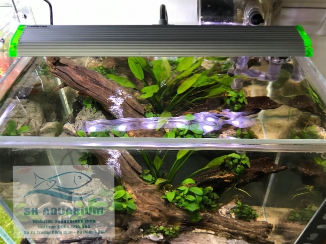 Đèn led kẹp Up Aqua N25