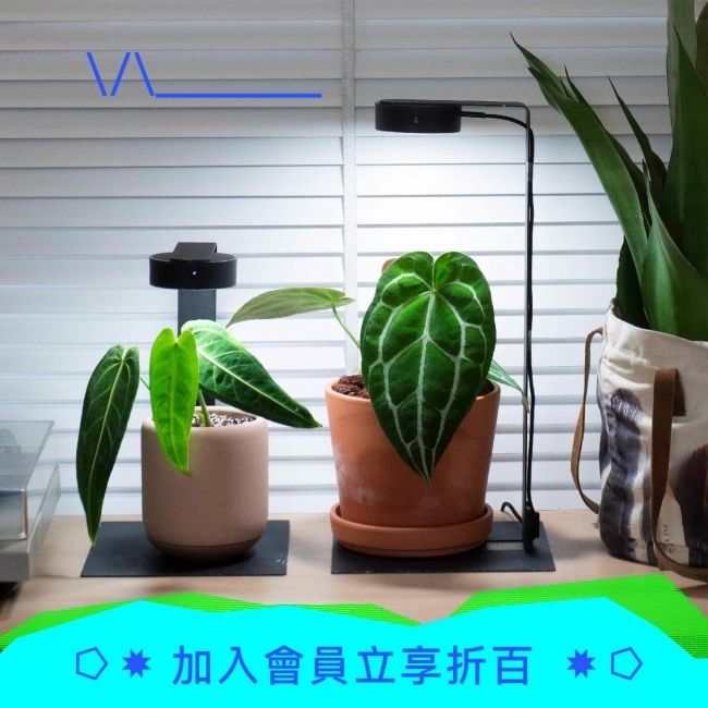 Đèn ONF Mist O 10W