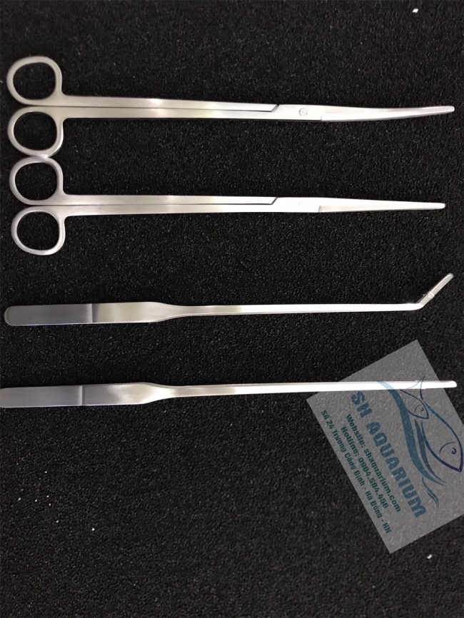 Nhíp thẳng trồng cây HH 27